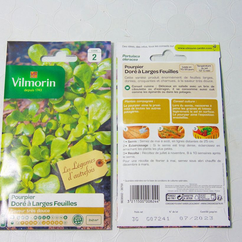 Example of Golden Purslane with Broad Leaves - Vilmorin seeds specimen as delivered