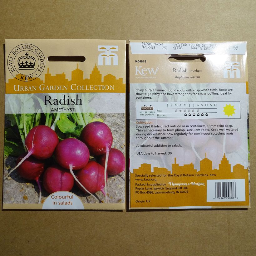 Example of Radish Amethyst Radish per pack of 300 seeds specimen as delivered