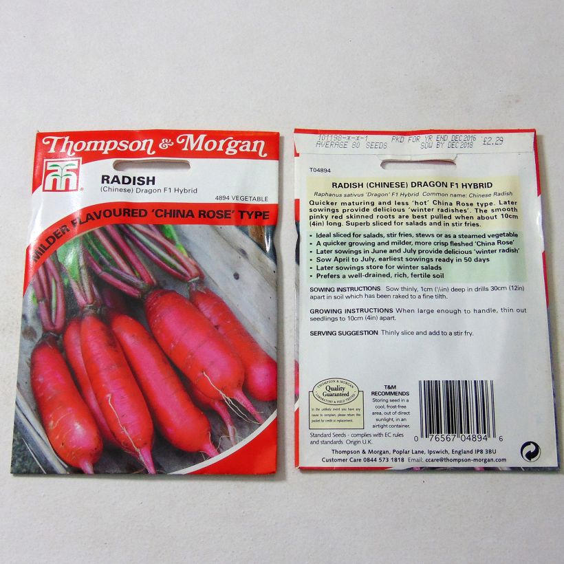 Example of Chinese Dragon' F1 Radish - Pink Radish from China per pack of 80 seeds specimen as delivered
