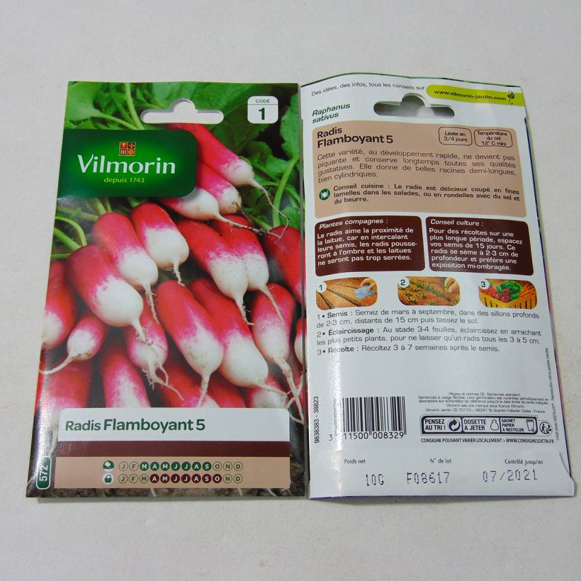 Example of Radish Flamboyant 5 - Vilmorin Seeds per pack of 800 seeds (10g) specimen as delivered