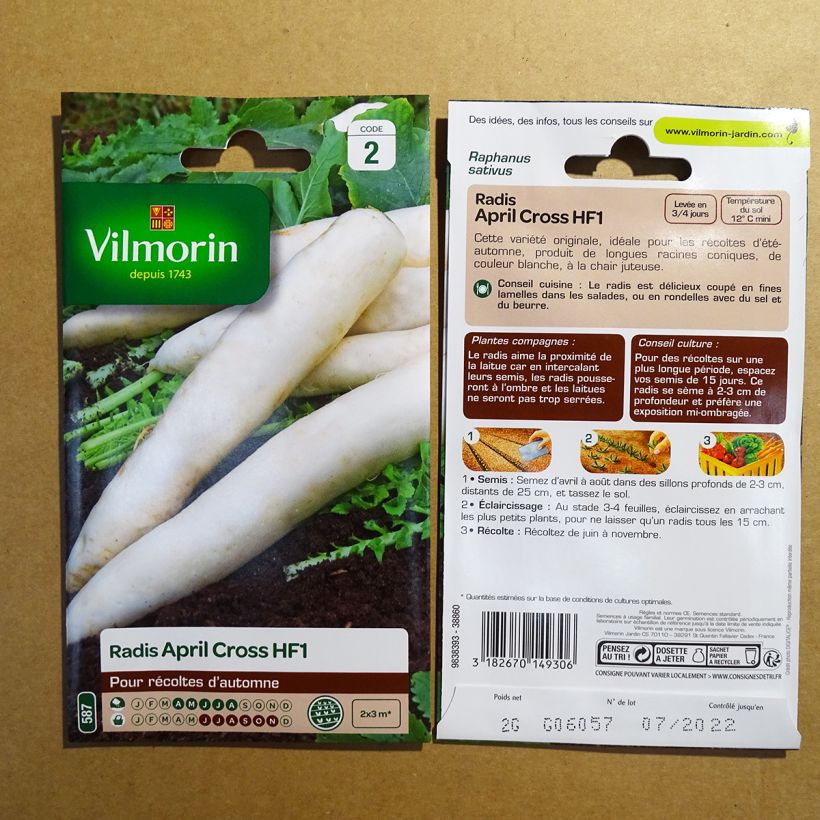 Example of Daikon Radish April Cross F1 - Vilmorin Seeds per pack of 160 seeds (2g) specimen as delivered