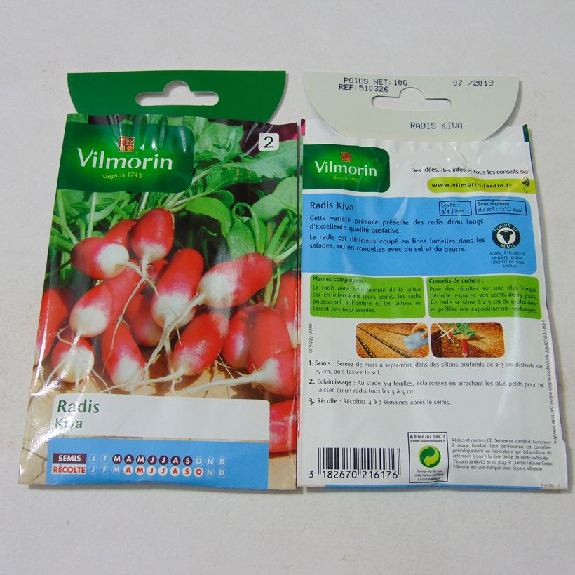 Example of Kiva Radish - Vilmorin seeds per pack of 800 seeds (10g) specimen as delivered