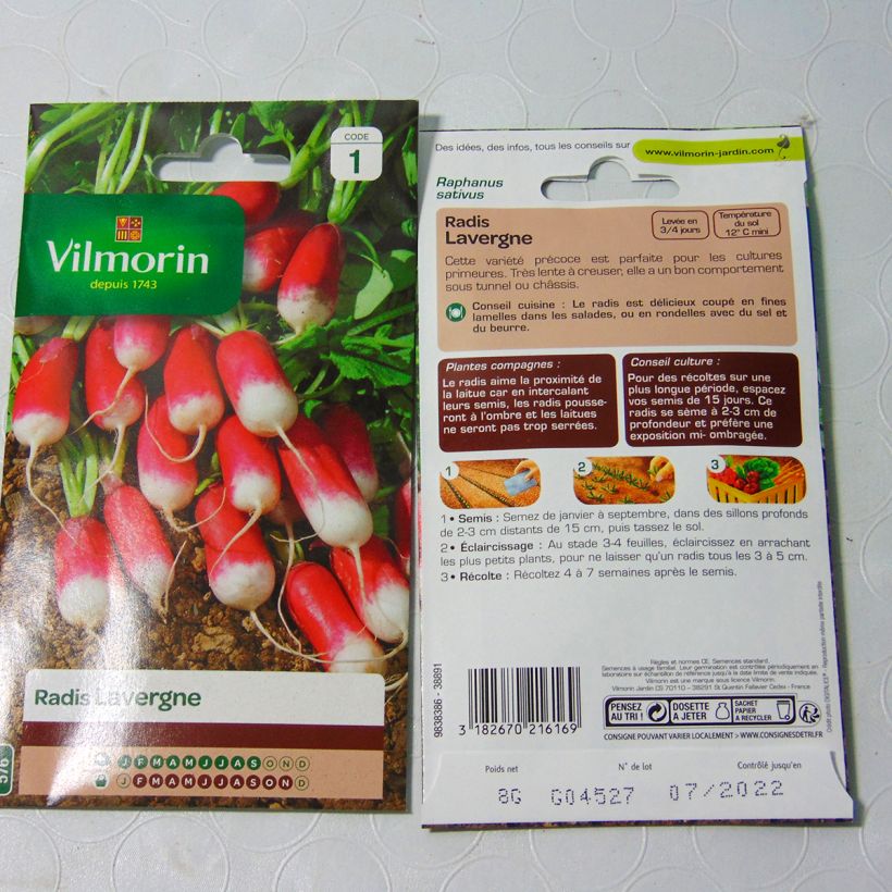 Example of Radish Lavergne - Vilmorin Seeds per pack of 640 seeds (8g) specimen as delivered