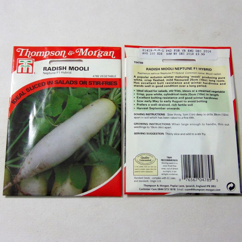 Example of Mooli Radish Neptune F1 per pack of 100 seeds specimen as delivered
