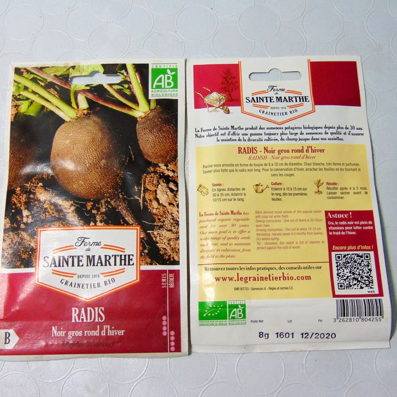 Example of Radish Noir Gros Long d'Hiver - Ferme de Sainte Marthe Seeds per pack of 1000 seeds (8g) specimen as delivered