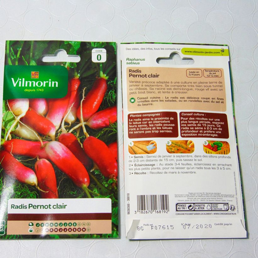 Example of Radish Pernot Clair - Vilmorin Seeds per pack of 640 seeds (8g) specimen as delivered