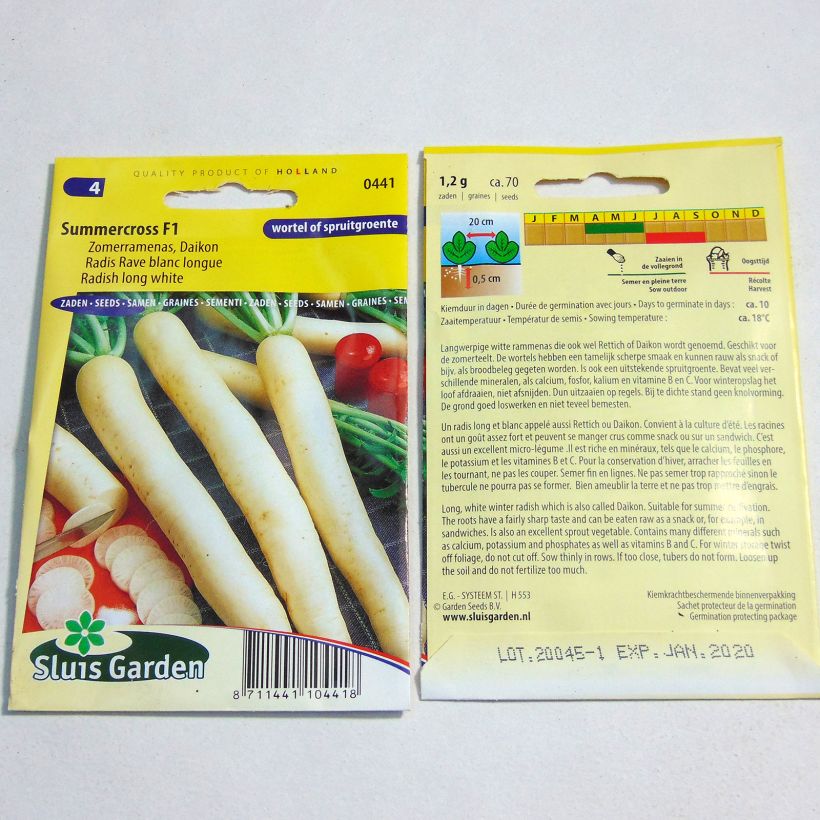 Example of Daikon Radish Summer Cross F1 per pack of 75 seeds (1g) specimen as delivered
