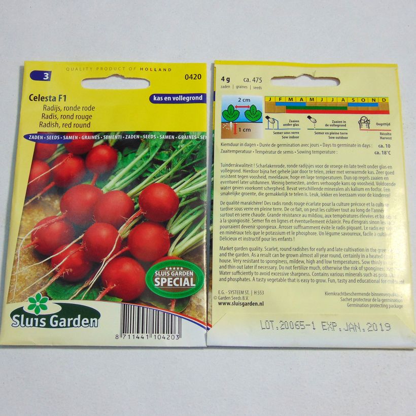 Example of Radish Celesta F1 per pack of 475 seeds (4g) specimen as delivered