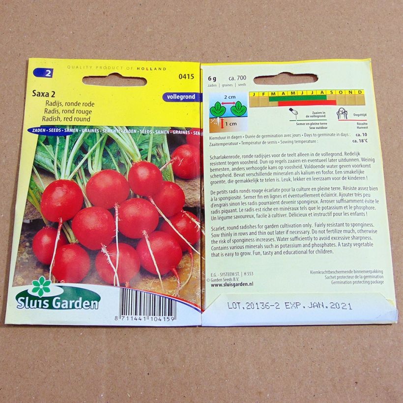 Example of Radish Saxa 2 per pack of 700 seeds (6g) specimen as delivered