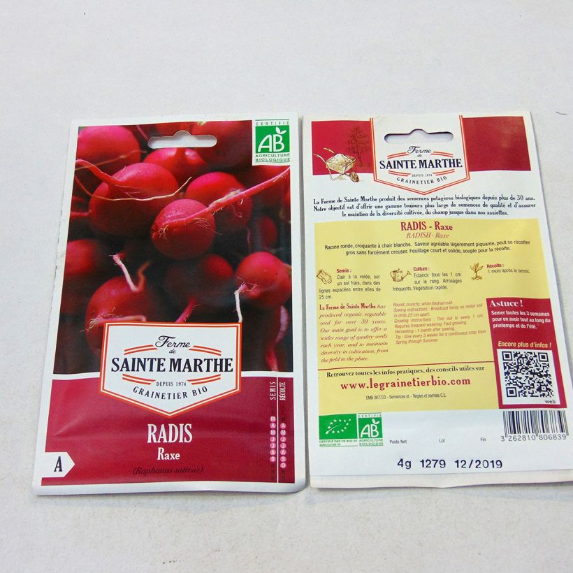 Example of Radish Raxe - Ferme de Sainte Marthe Seeds specimen as delivered