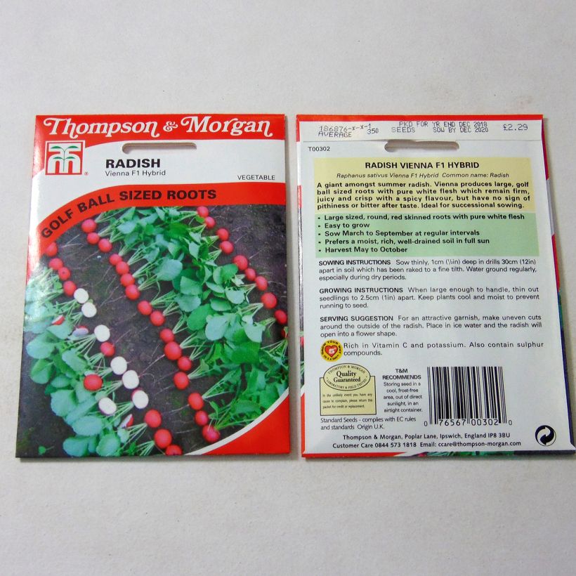 Example of Vienna F1 Radish per pack of 350 seeds specimen as delivered