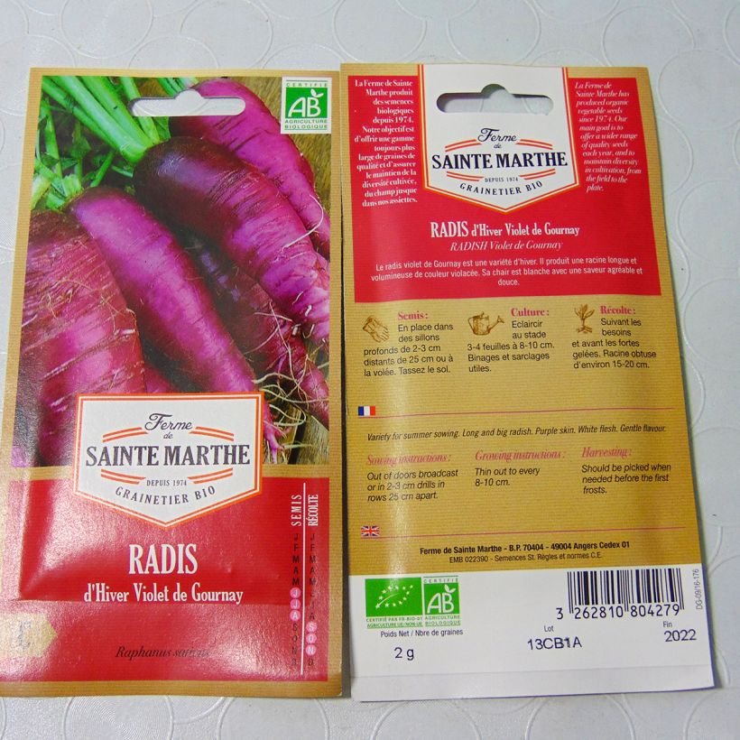 Example of Radish Violet de Gournay - Ferme de Sainte Marthe Seeds per pack of 160 seeds (2g) specimen as delivered