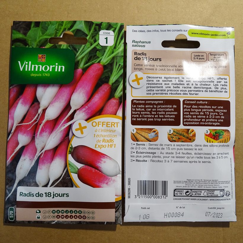 Example of Radish De 18 jours + Sample Expo F1 - Vilmorin Seeds per pack of 1200 seeds (10g) specimen as delivered