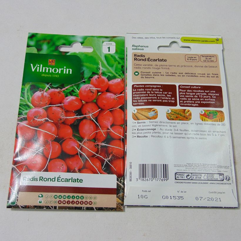 Example of Radish Scarlet Globe - Vilmorin Seeds per pack of 800 seeds (10g) specimen as delivered