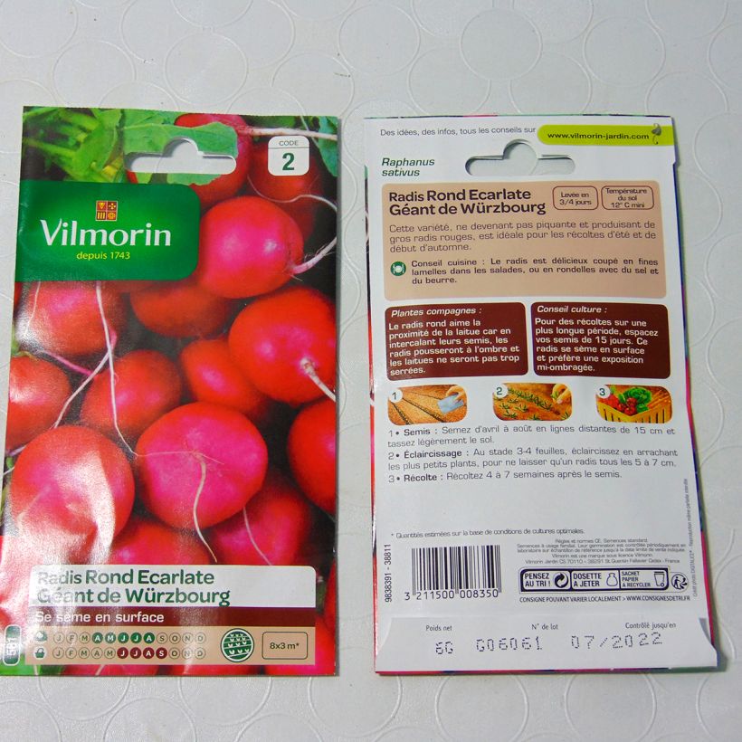 Example of Radish Giant of Würzburg - Vilmorin Seeds per pack of 480 seeds (6g) specimen as delivered
