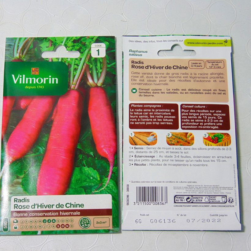 Example of Radish China Rose - Vilmorin Seeds per pack of 480 seeds (6g) specimen as delivered