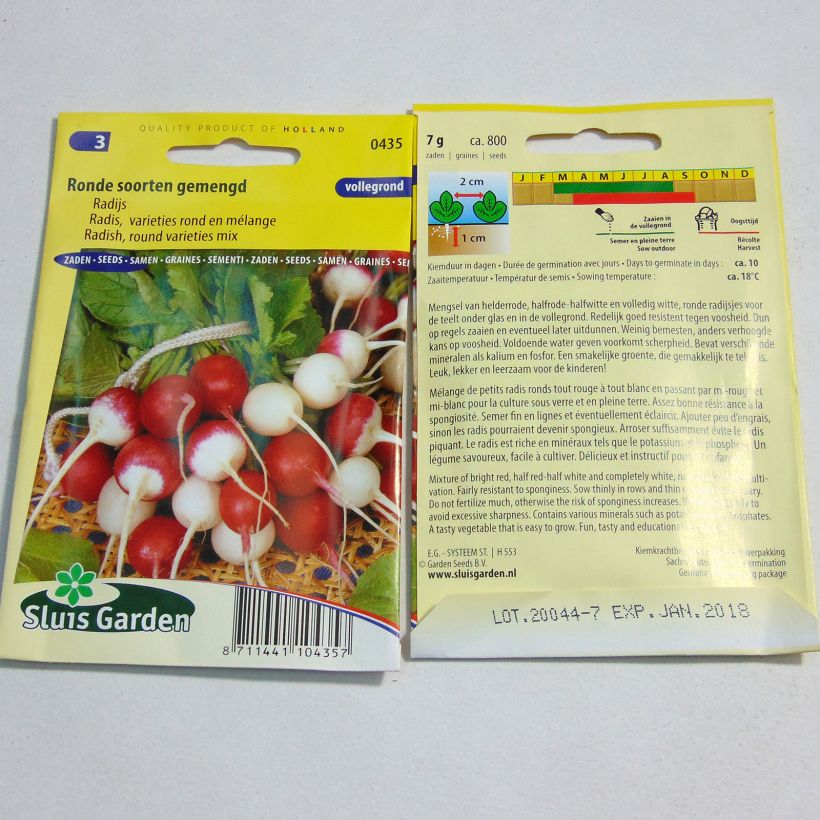 Example of Round Radish Mix per pack of 800 seeds (7g) specimen as delivered