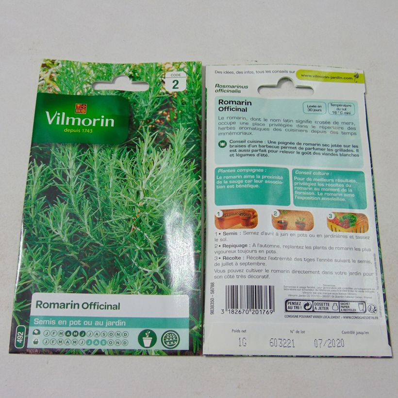 Example of Rosmarinus officinalis - Vilmorin Seeds per 1 g seed pack specimen as delivered