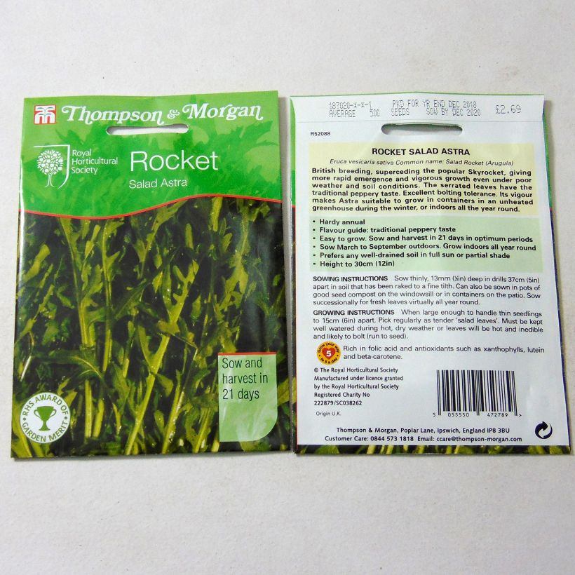 Example of Rocket Astra - Arugula per pack of 750 seeds specimen as delivered