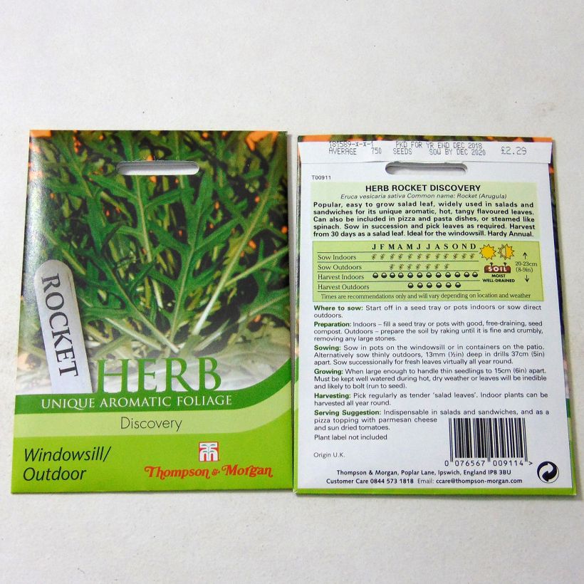 Example of Rocket Discovery - Arugula per pack of 750 seeds specimen as delivered