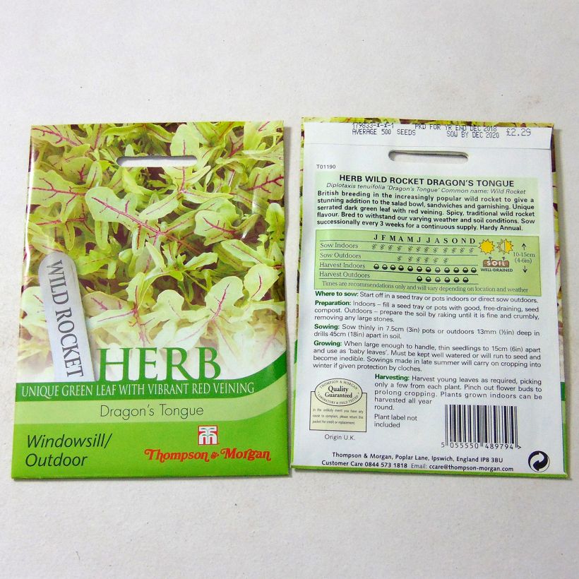 Example of Wild Rocket Dragons Tongue - Arugula per pack of 500 seeds specimen as delivered