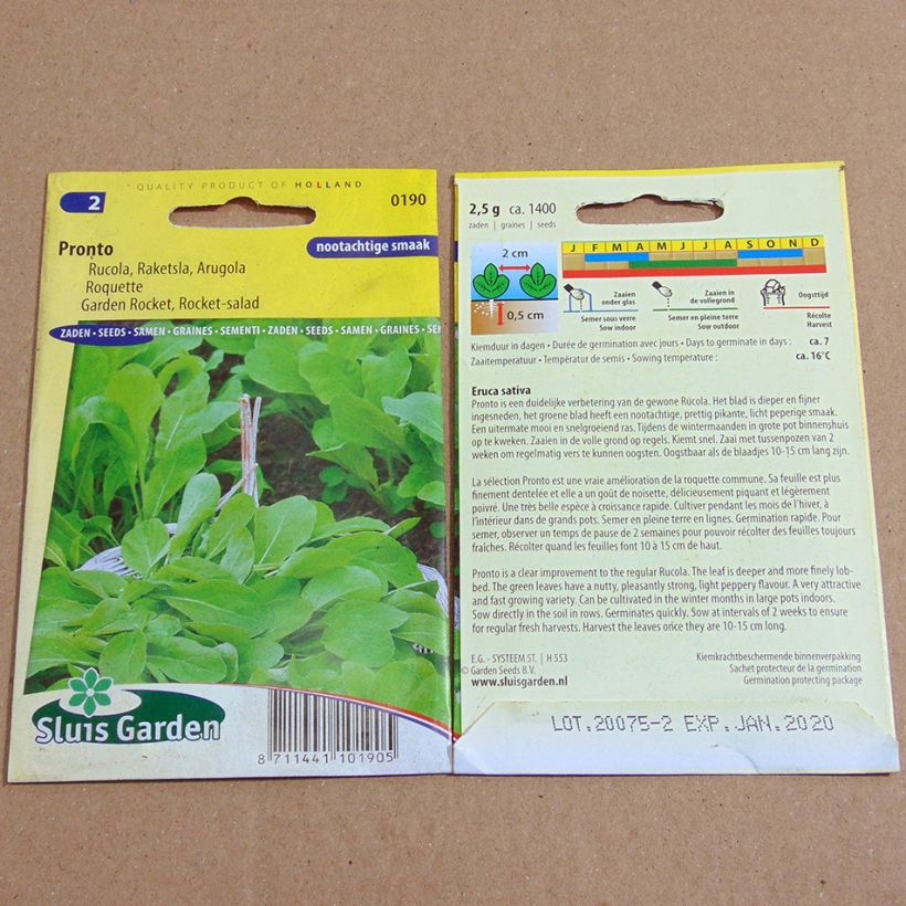 Example of Rocket Pronto - Arugula per pack of 1400 seeds (2g) specimen as delivered