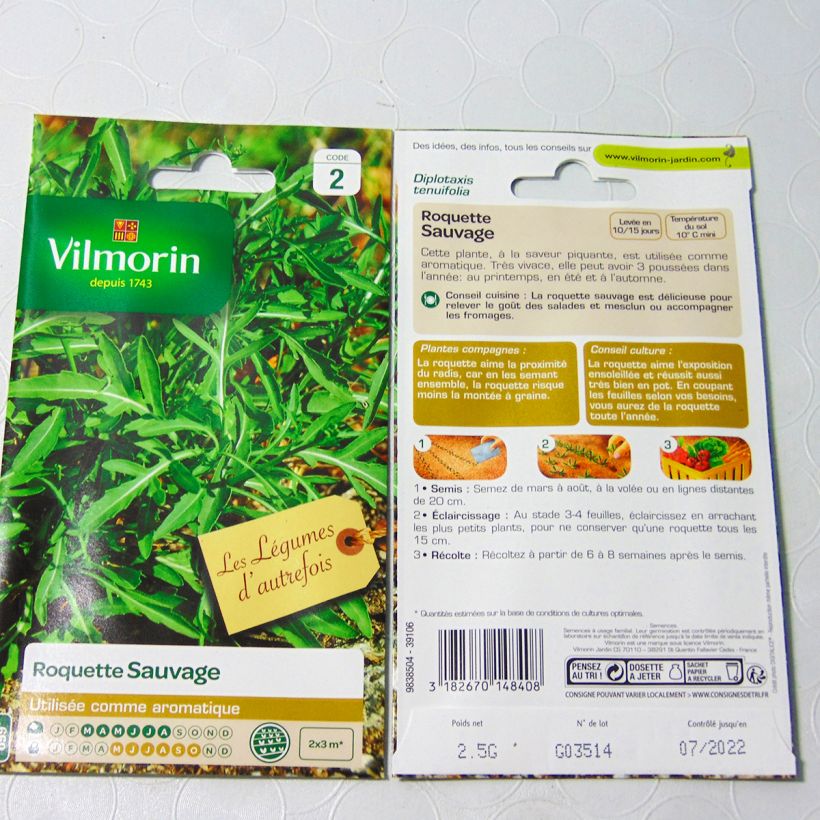 Example of Wild Rocket - Arugula - Vilmorin Seeds per pack of 1100 seeds (2g) specimen as delivered
