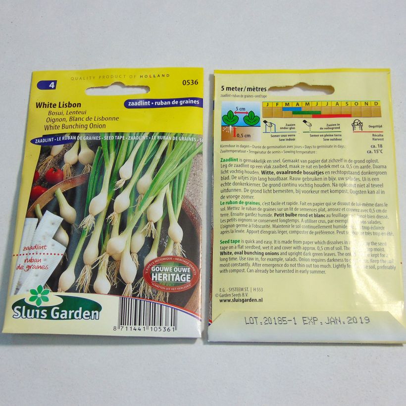 Example of Onion White Lisbon - Seed Tape 5 m per 5 g seed pack specimen as delivered