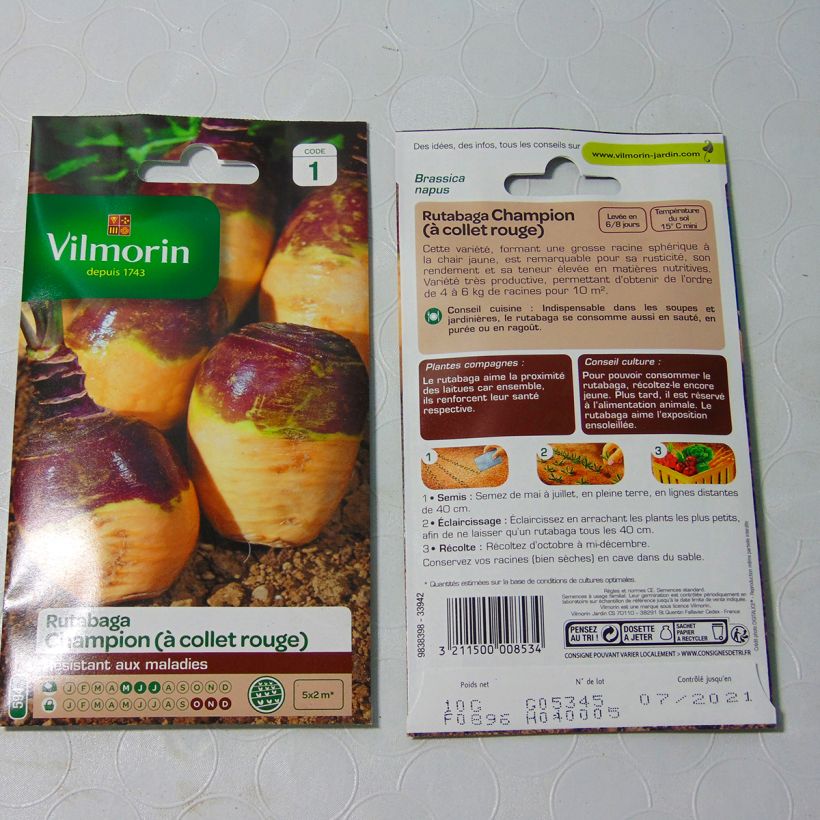 Example of Champion Rapeseed (yellow with red collar) - Vilmorin seeds - Brassica napus per pack of 3500 seeds (10g) specimen as delivered