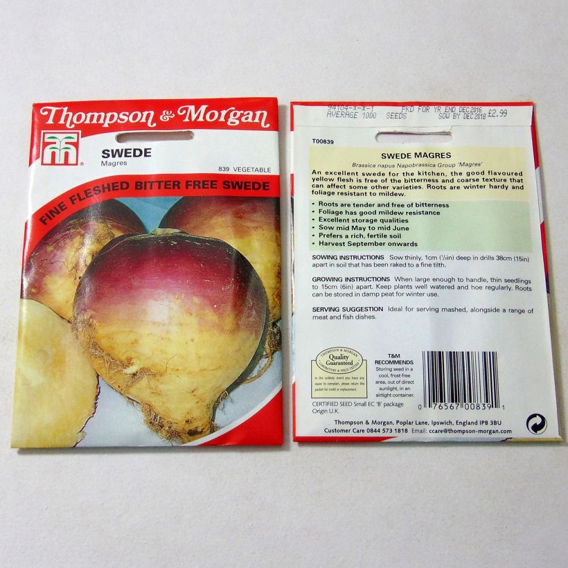 Example of Swede Magres - Rutabaga per pack of 1000 seeds specimen as delivered