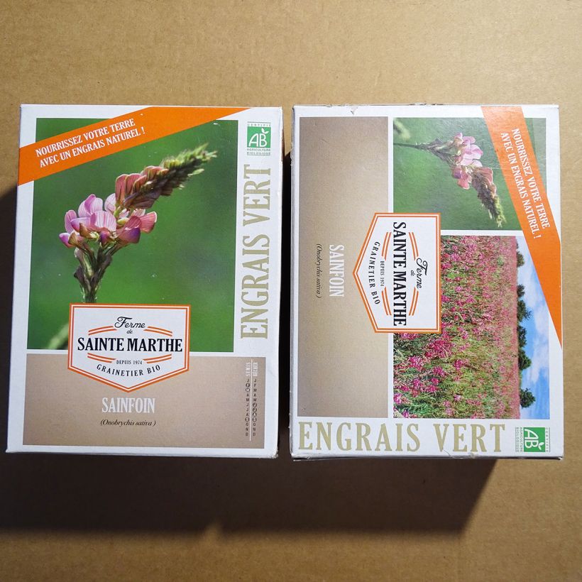 Example of Organic Sainfoin - Green Manure - Ferme de Sainte Marthe seeds specimen as delivered