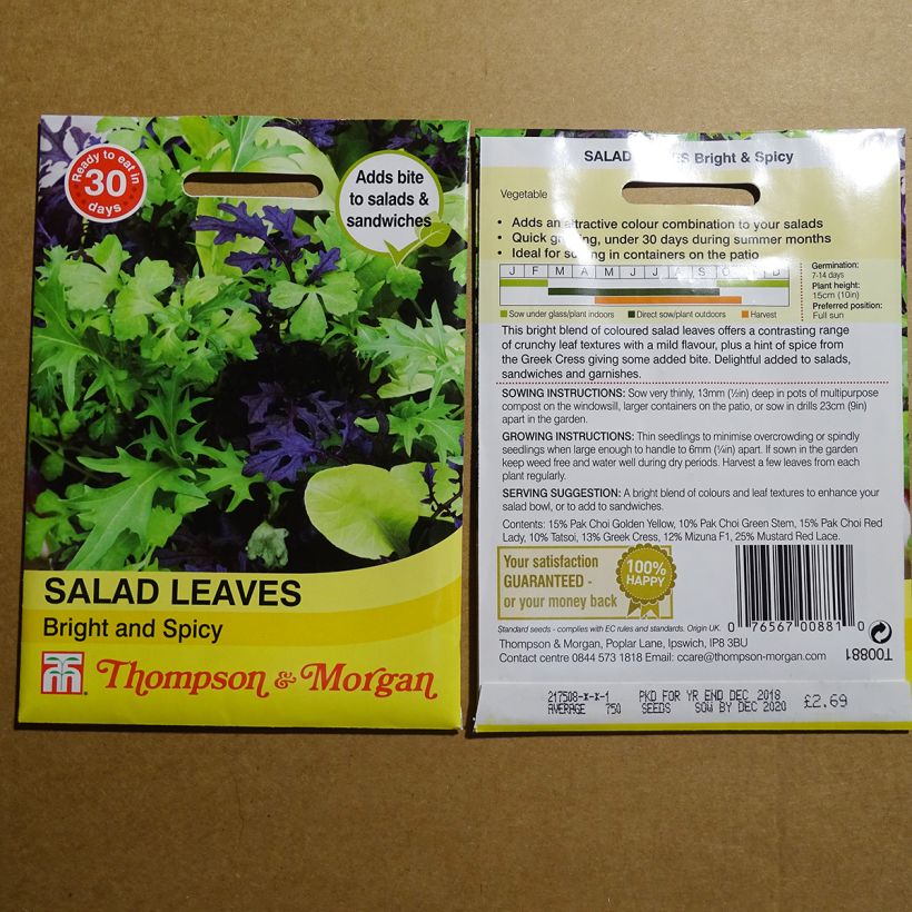 Example of Mixed Salad Leaves Bright and Spicy - Mesclun per pack of 1000 seeds specimen as delivered