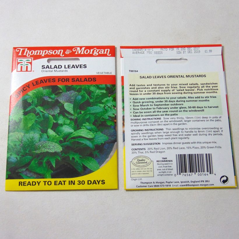Example of Mixed Salad Leaves Oriental Mustards - Mesclun per pack of 2000 seeds specimen as delivered