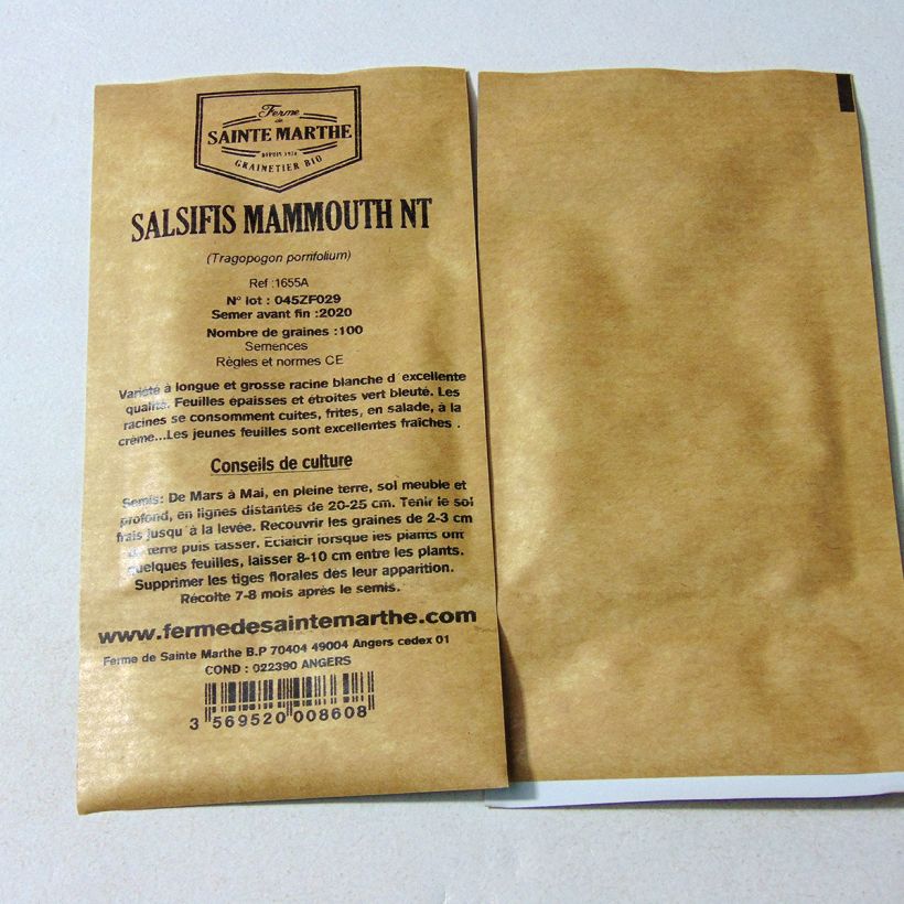 Example of Mammoth Organic Salsify - Ferme de Sainte Marthe seeds per pack of 100 seeds (1g) specimen as delivered