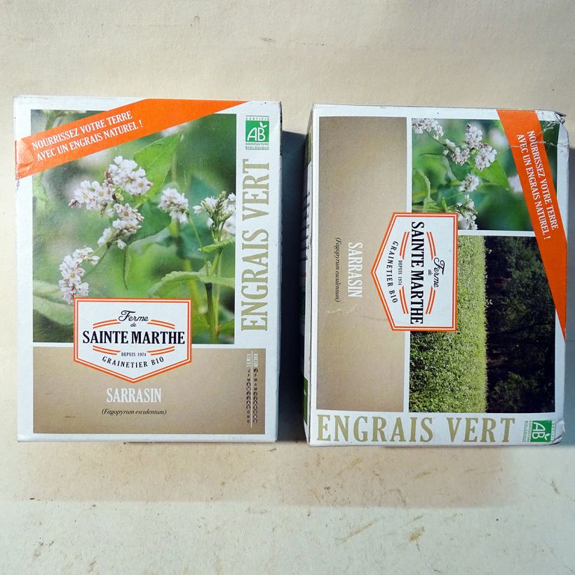 Example of Organic Common Buckwheat - Ferme de Sainte Marthe seeds - Fagopyrum esculentum per 400 g seed pack specimen as delivered