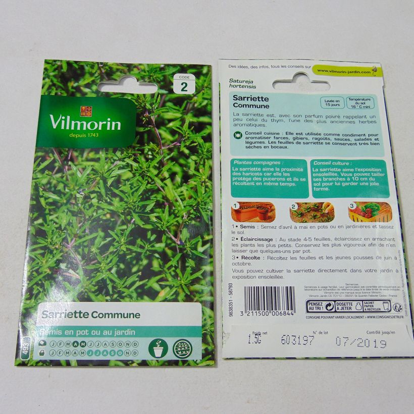 Example of Common Savory - Vilmorin seeds per pack of 1500 seeds (1g) specimen as delivered