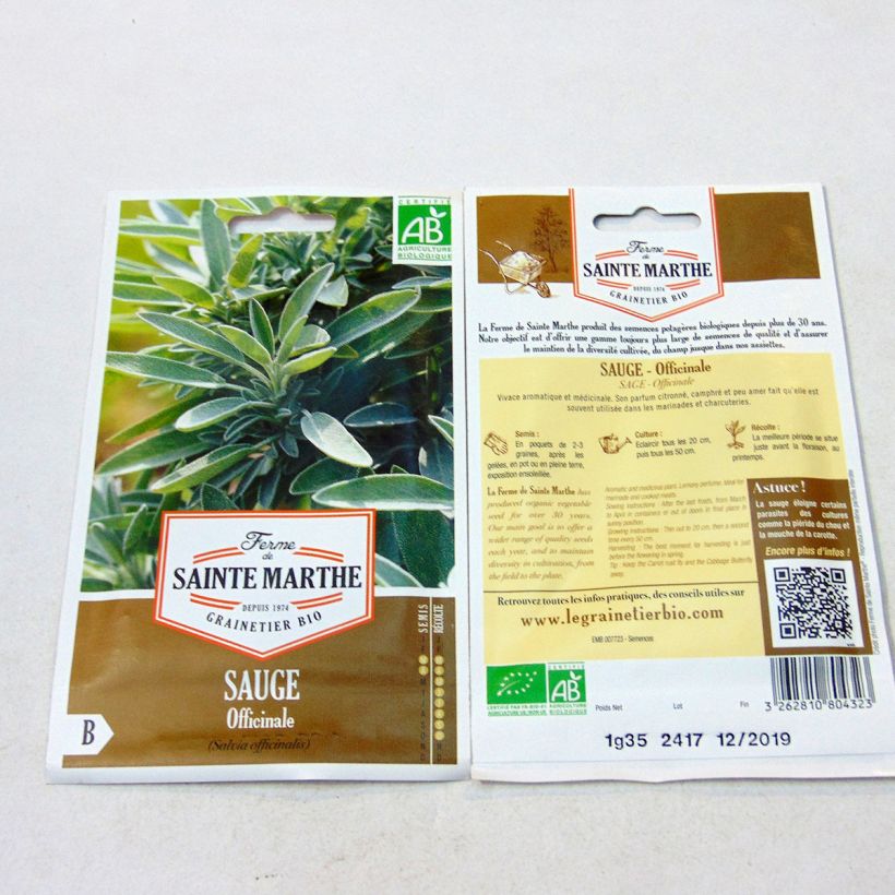Example of Salvia officinalis, Organic Garden Sage - Ferme de Sainte Marthe seeds per pack of 150 seeds (1g) specimen as delivered
