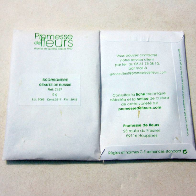 Example of Giant Black Russian Scorzonera - Scorzonera hispanica per pack of 300 seeds (5g) specimen as delivered