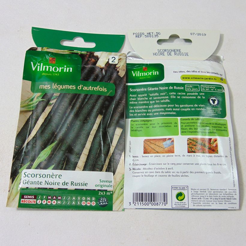 Example of Russian Giant Black Scorzonera - Vilmorin seeds per pack of 400 seeds (5g) specimen as delivered