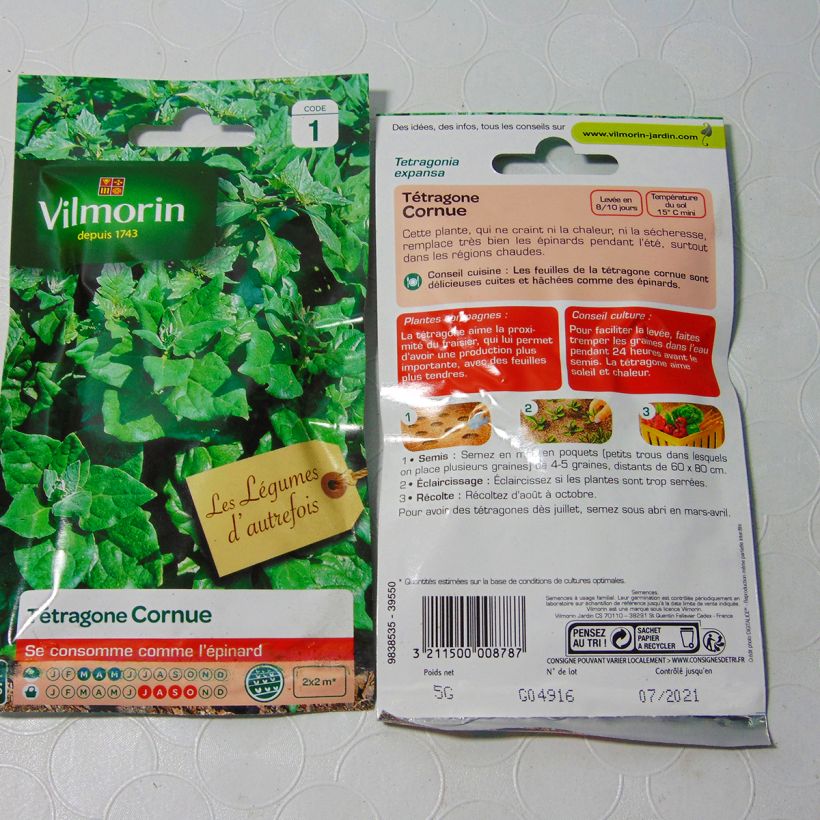 Example of Tetragonia tetragonioides  per pack of 75 seeds (5g) specimen as delivered