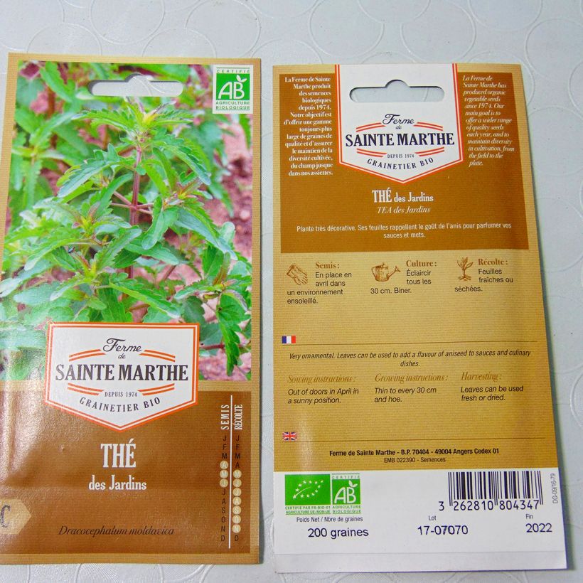 Example of Organic Dracocephalum moldavica  per pack of 80 seeds specimen as delivered