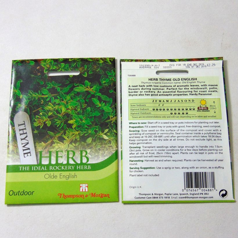 Example of Thym Old English - Thyme per pack of 500 seeds specimen as delivered