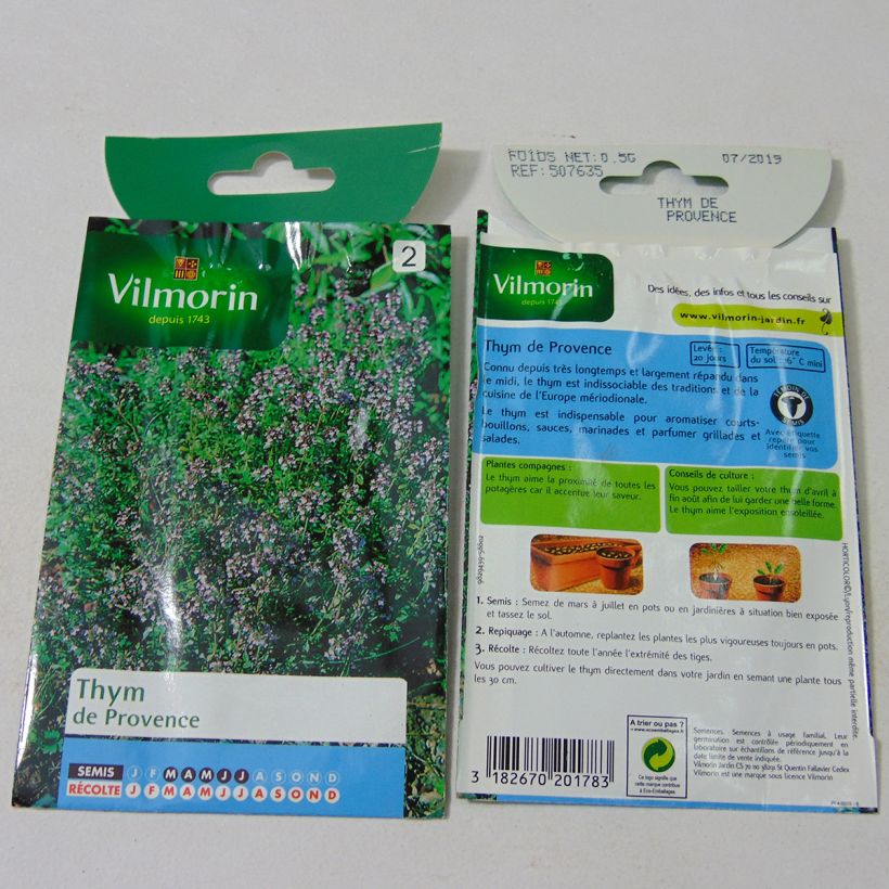 Example of Thymus vulgaris - Vilmorin seeds per pack of 3000 seeds specimen as delivered