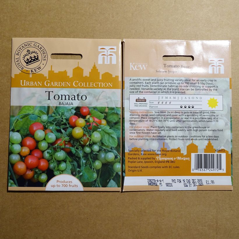 Example of Tomato Bajaja per pack of 15 seeds specimen as delivered