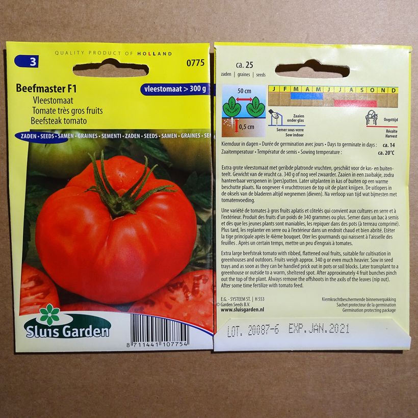Example of Tomato Beefmaster F1 per pack of 25 seeds specimen as delivered