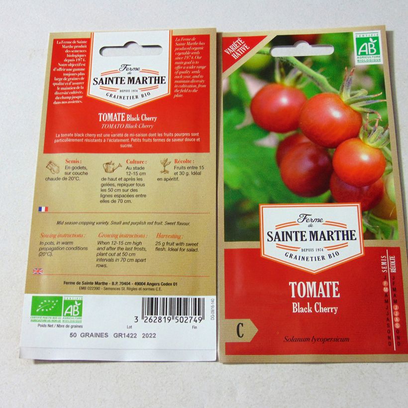 Example of Tomato Black Cherry Organic per pack of 50 seeds specimen as delivered