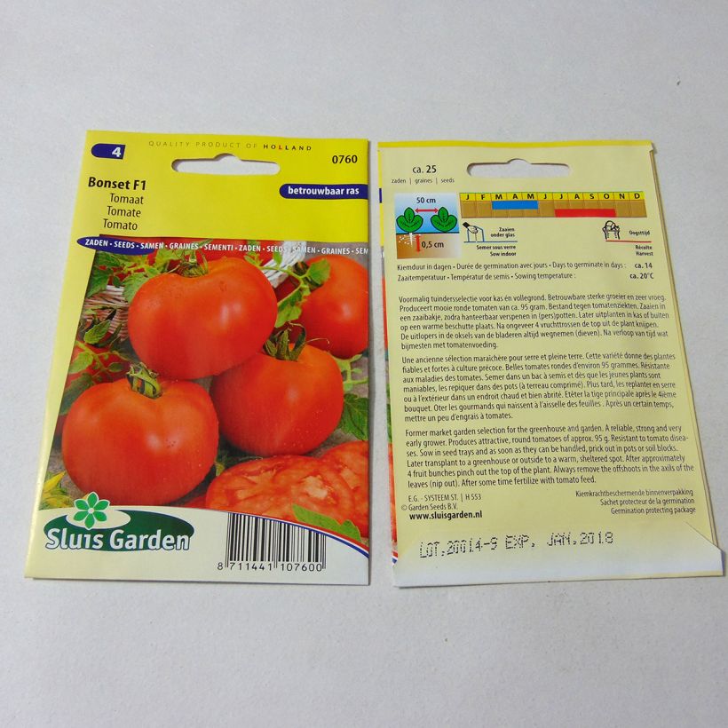 Example of Bonset F1 Tomato Seeds per pack of 25 seeds specimen as delivered