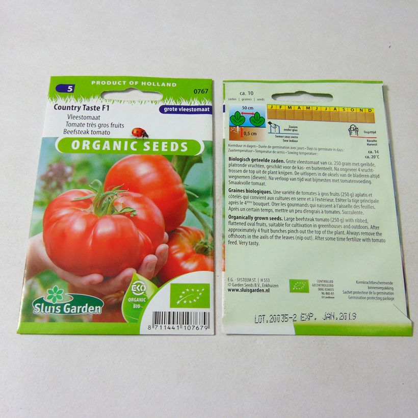 Example of Country Taste F1 Organic Tomato per pack of 10 seeds specimen as delivered