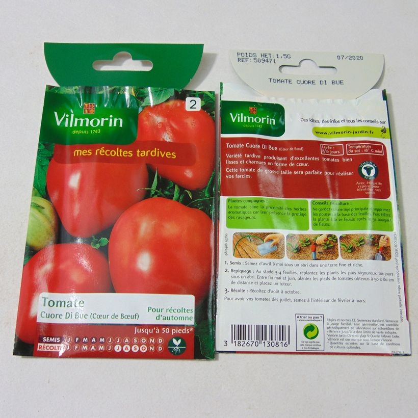 Example of Cuor di Bue Tomato - Beefheart Tomato - Vilmorin seeds per pack of 300 seeds (1g) specimen as delivered