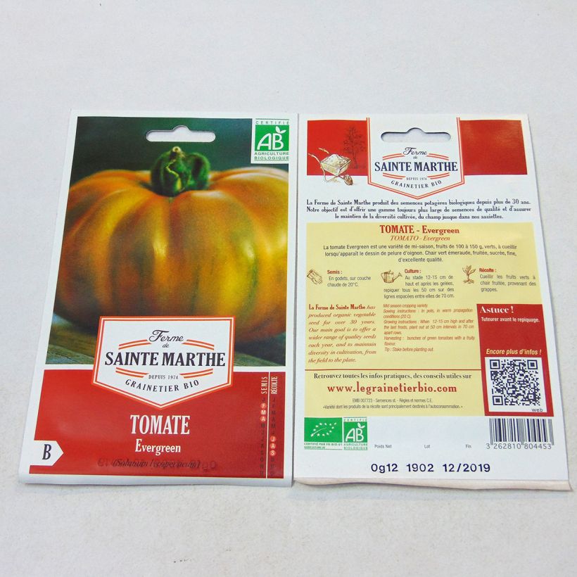 Example of Evergreen Organic Tomato - Ferme de Sainte Marthe seeds per pack of 60 seeds specimen as delivered